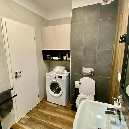 Finest Citycenter With Free Garage * Timisoara